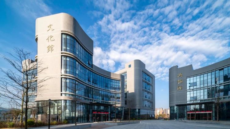 龙门县文化组织架构