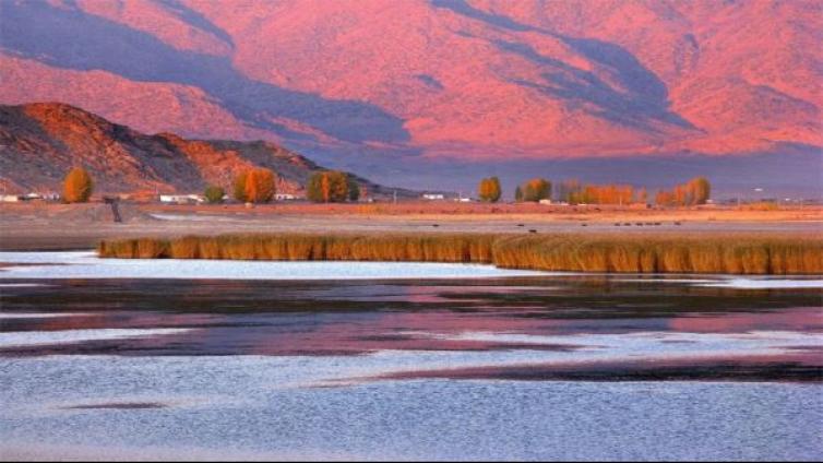 艺苑微展丨“新影像•新影响”2022惠州摄影大赛3月月赛优秀摄影作品展