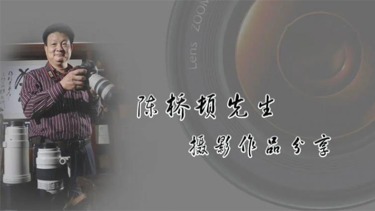 艺苑微展｜陈桥顿先生摄影作品分享