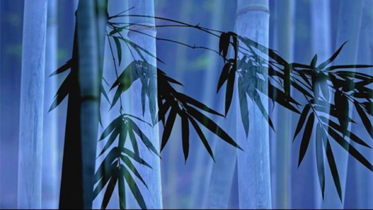 艺苑微展|竹影清风入画来（二）