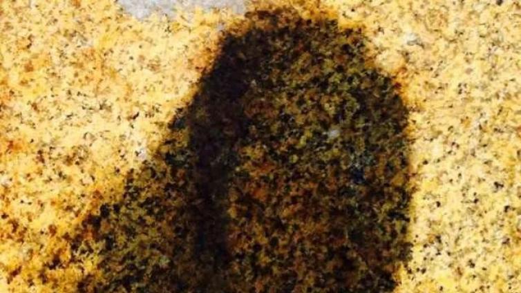 三月 | 那些花儿