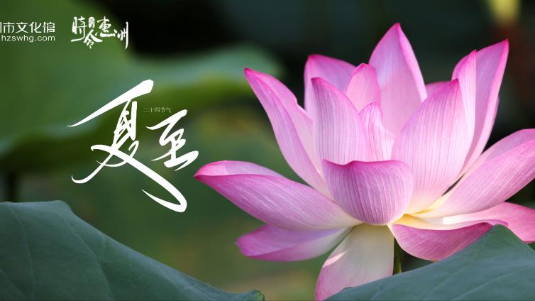 时令惠州·夏至