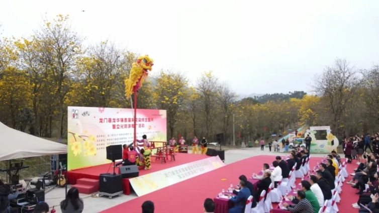 龙门非遗亮相文旅活动，带你感受风景之外的别样韵味