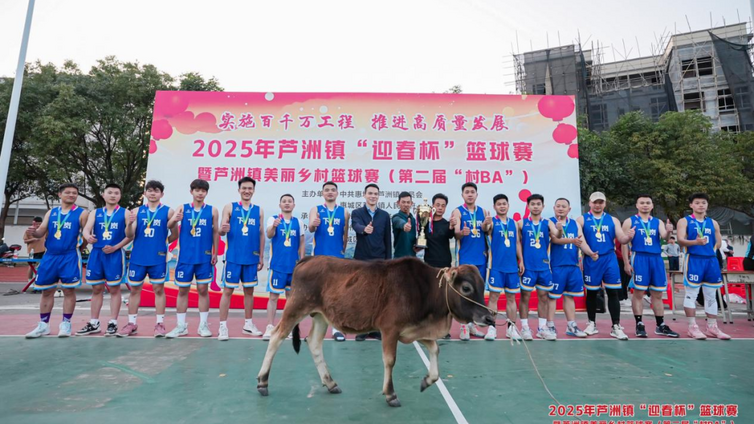 分馆动态 |  2025年芦洲镇“迎春杯”篮球赛暨美丽乡村篮球赛（第二届村BA）篮球赛圆满落幕