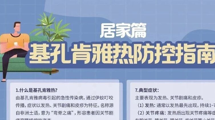 划重点！防控基孔肯雅热可以这样做→