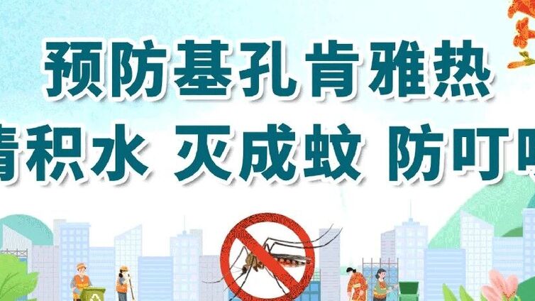 13个市民朋友关心的基孔肯雅热问题，专家来解答！