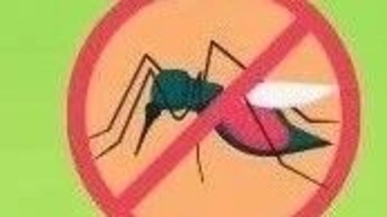 闲置屋、闲置地防蚊灭蚊工作指南来了！