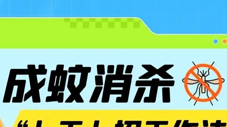 预防基孔肯雅热、登革热，从灭蚊消杀开始！