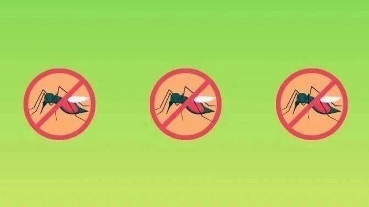 重要提醒：清垃圾、清杂物、倒积水！请做好“五清五倒”！