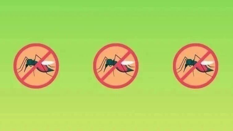 “毒蚊”究竟孳生在哪里？快收好这份攻略