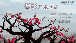 摄影艺术欣赏《桃花韵桃花摄影技巧》陈竟辉