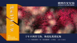 从《暗香疏影》到《暗香叠影》之体验 张健武