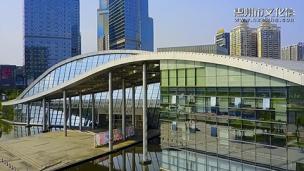 惠州市文化馆宣传片