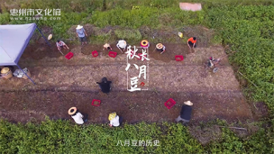 讲古仔第二季-八月豆