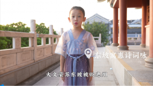 东坡寓惠诗词咏