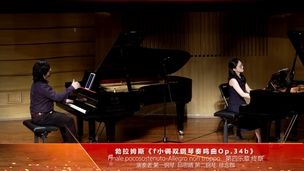 Finale.pocosostenuto-Allegro non troppo 第四乐章:终章