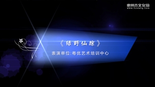 古筝独奏《绿野仙踪》