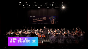 交响乐《粉红豹》