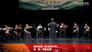 器乐合奏《花儿与少年》