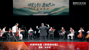 中提琴独奏《我爱你中国》