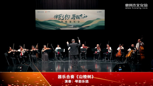 器乐合奏《山楂树》