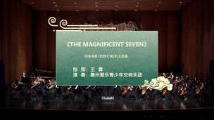 《The Magnificent Seven》